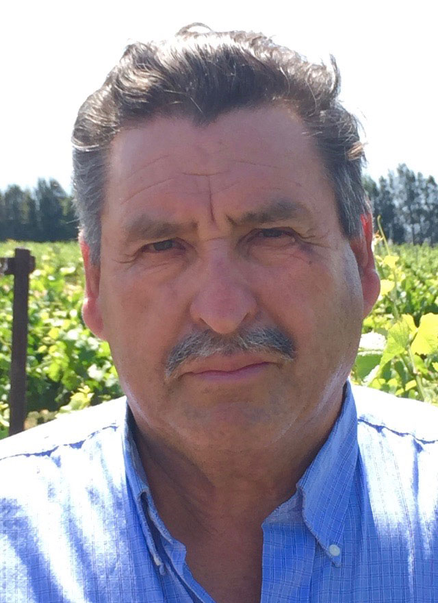 Tony Salazar, Vineyard Manager